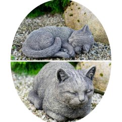 Blank Circle Collage Template