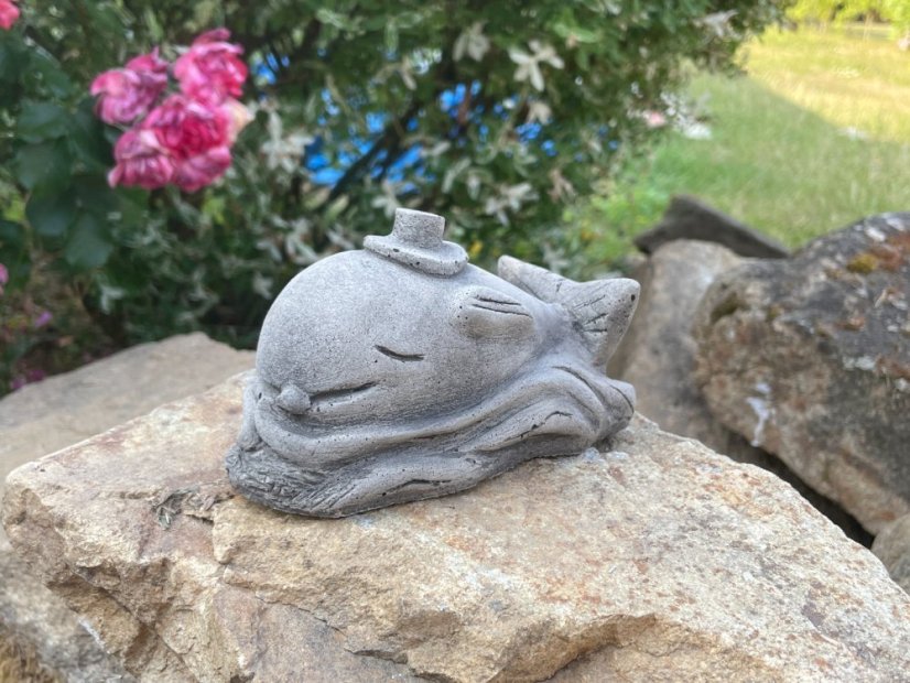 image00034 fotor 2023071121315