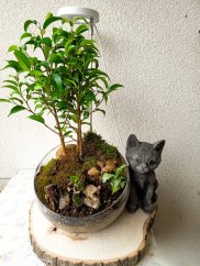 PHOTO 2025 10 13 10 09 35 4 – upraveno