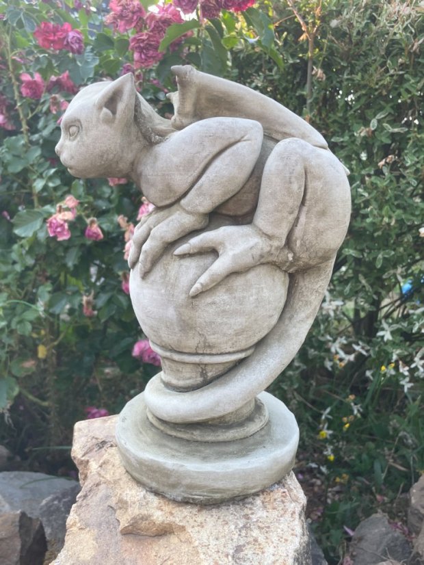 image00020 fotor 20230711205716