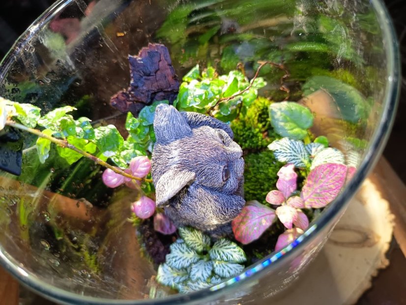 PHOTO 2025 10 06 11 44 40 3