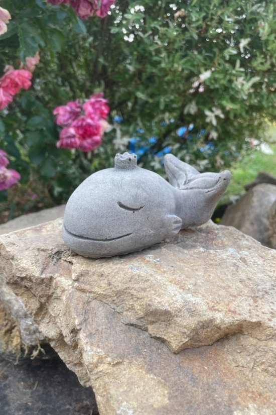 image00043 fotor 2023071121136