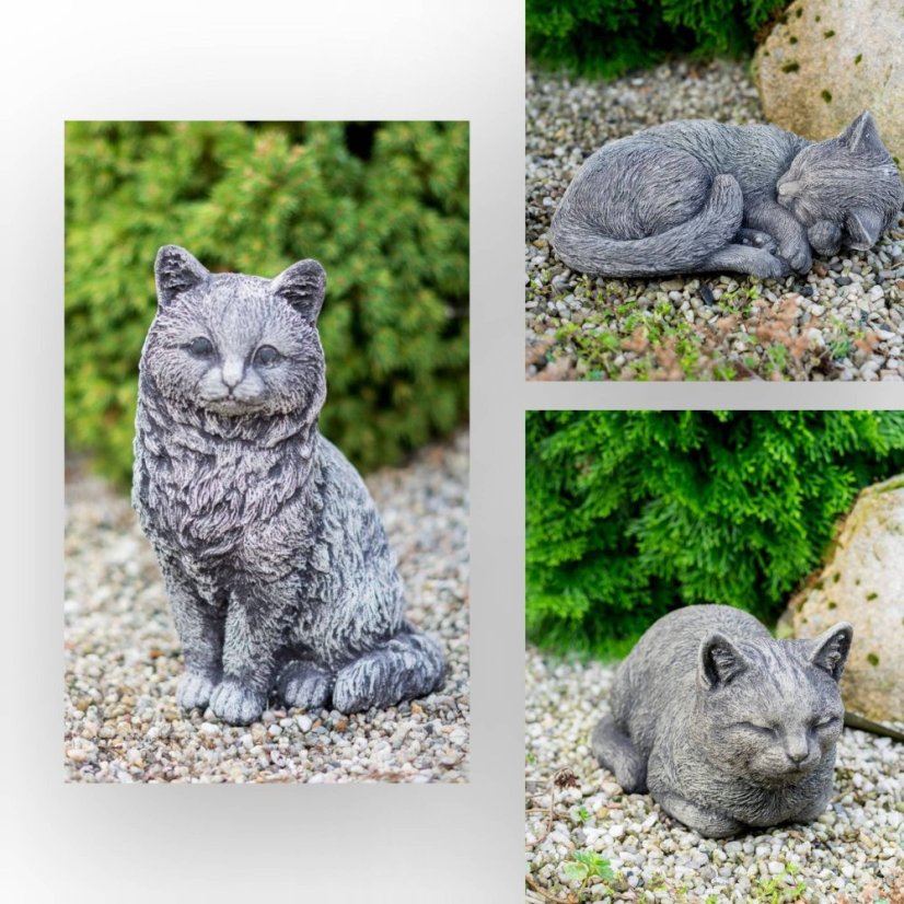 Simple Rectangle Collage Blank