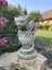 image00022