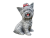 Psi