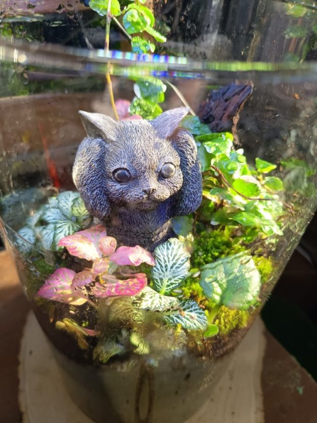 PHOTO 2025 10 06 11 44 38 2