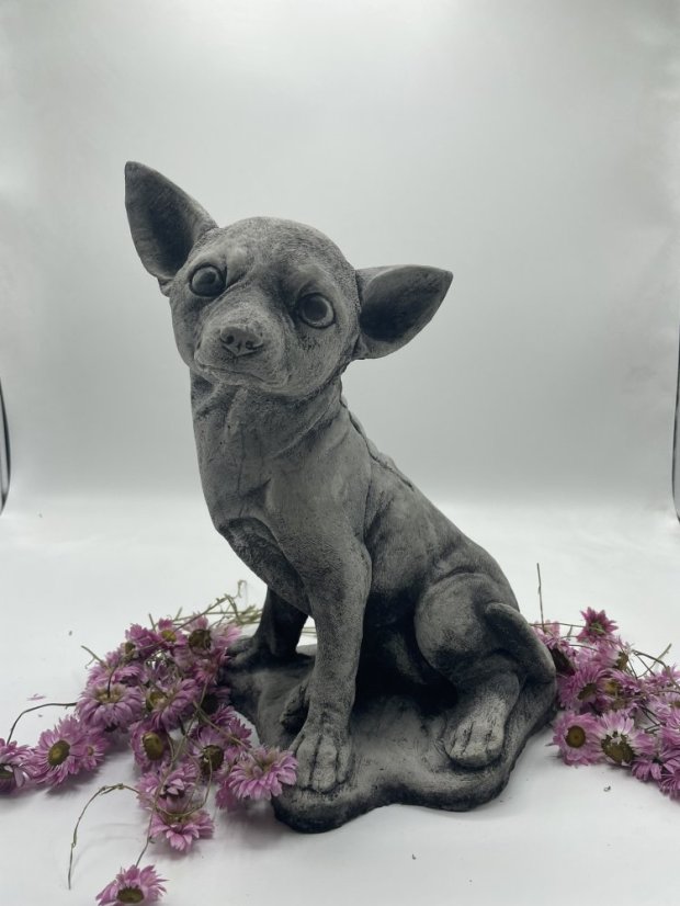 Zahradní betonová dekorace - Čivava