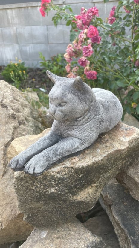 image00030 fotor 2023071121228