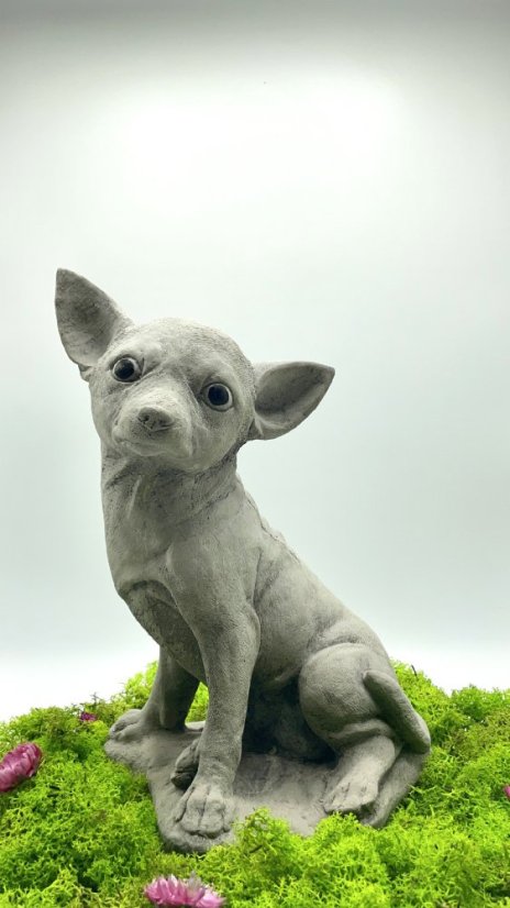 Zahradní betonová dekorace - Čivava