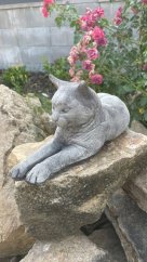 image00030 fotor 2023071121228