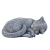 Kočky