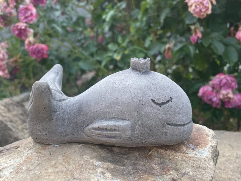 image00040 fotor 20230711211353