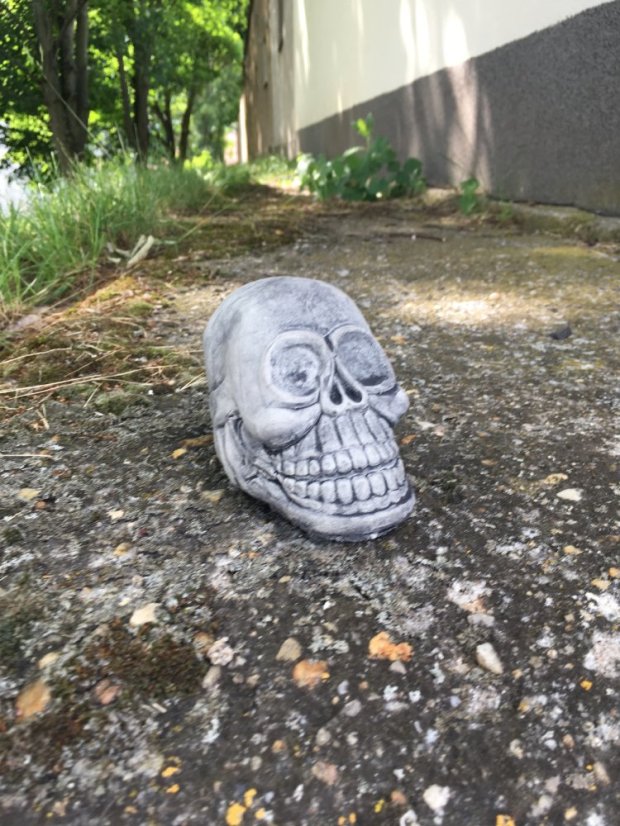 Zahradní betonová dekorace Malá lebka Zahradní betonová dekorace Malá lebka