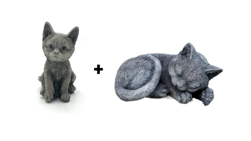 Duo koťátka