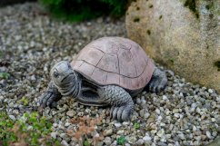 Zahradní betonová dekorace Malá želva č.1