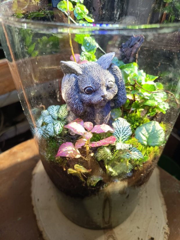 PHOTO 2025 10 06 11 44 40 2