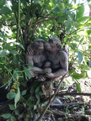 Steinfigur Gartenfigur Affenpaar 18x15x10 675