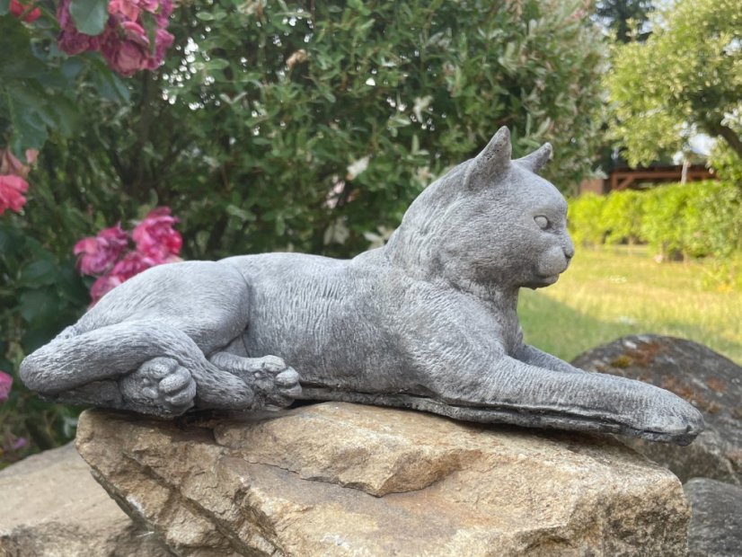 image00027 fotor 2023071121131