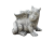 Draci