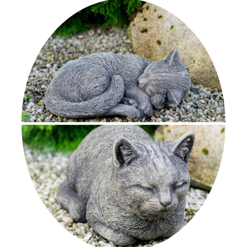 Blank Circle Collage Template