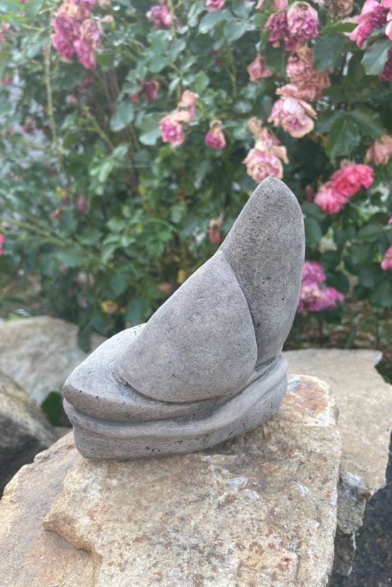 image00048 fotor 20230711211655