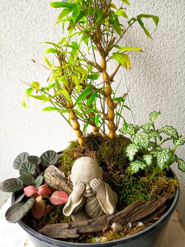 PHOTO 2025 10 13 10 09 35 3