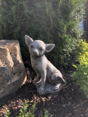 Zahradní betonová dekorace - Čivava