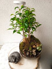 PHOTO 2025 10 13 10 09 36 2 – upraveno