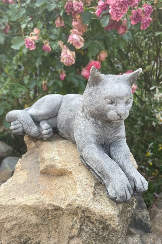 image00024 fotor 2023071121044