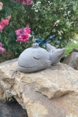 image00043 fotor 2023071121136 image00043 fotor 2023071121136