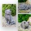 Simple Rectangle Collage Blank