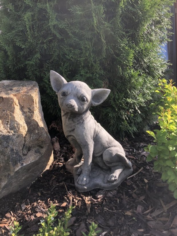 Zahradní betonová dekorace - Čivava