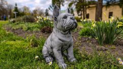 Steinfigur Gartenfigur Frenchie Eddi 30x20 1350